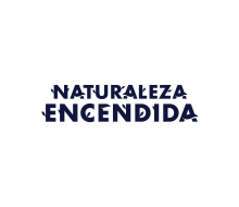 Project manager - jefe producción en Sevilla, Córdoba, Tenerife / NATURALEZA ENC